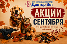 Осень начинается с заботы в «Доктор Вет»